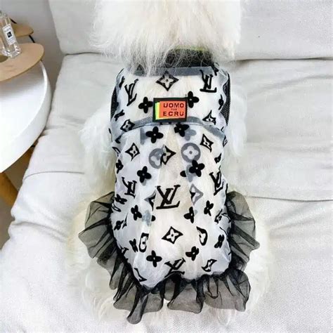 louis vuitton dog dress